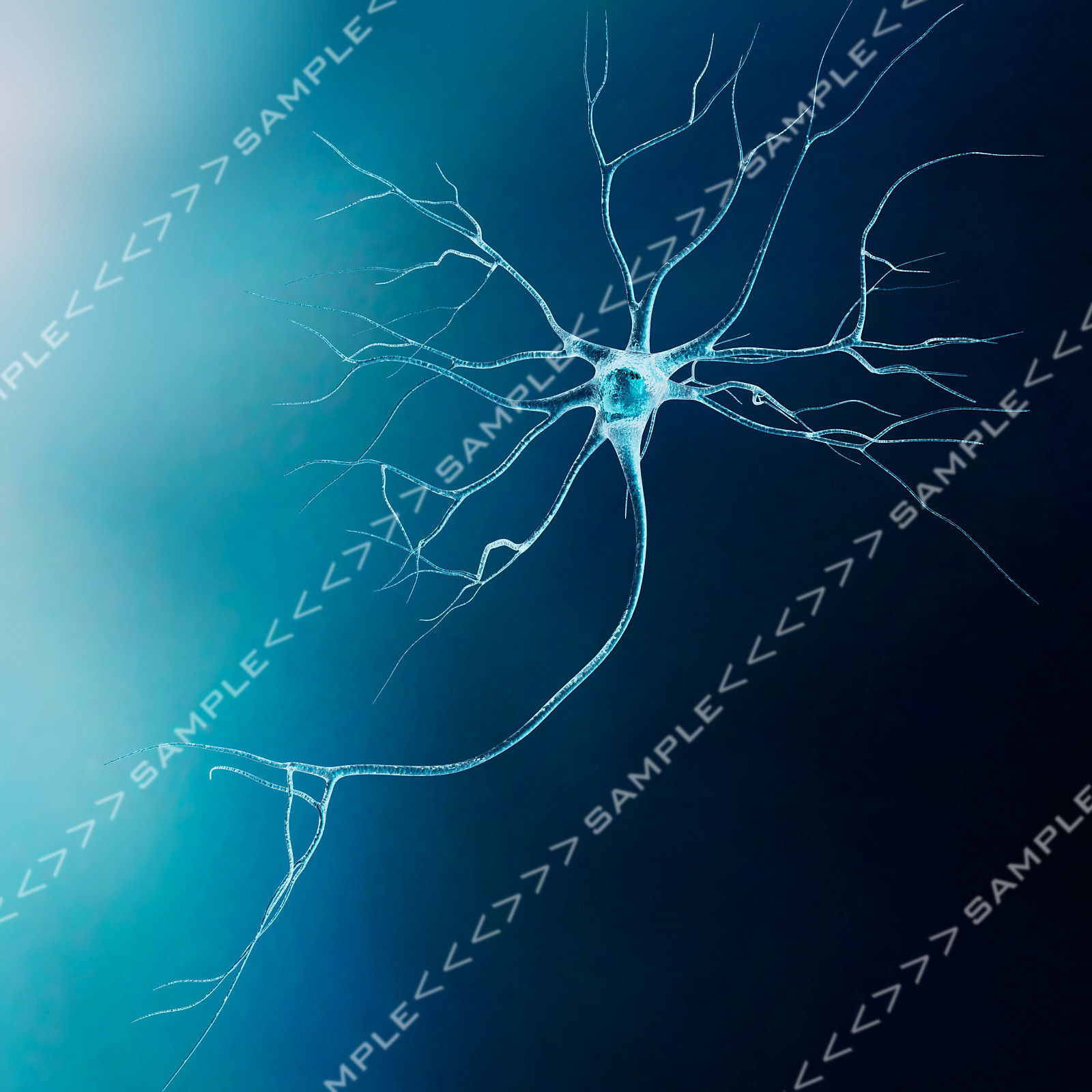 Neurons-fly-through neuron light 3D model_11