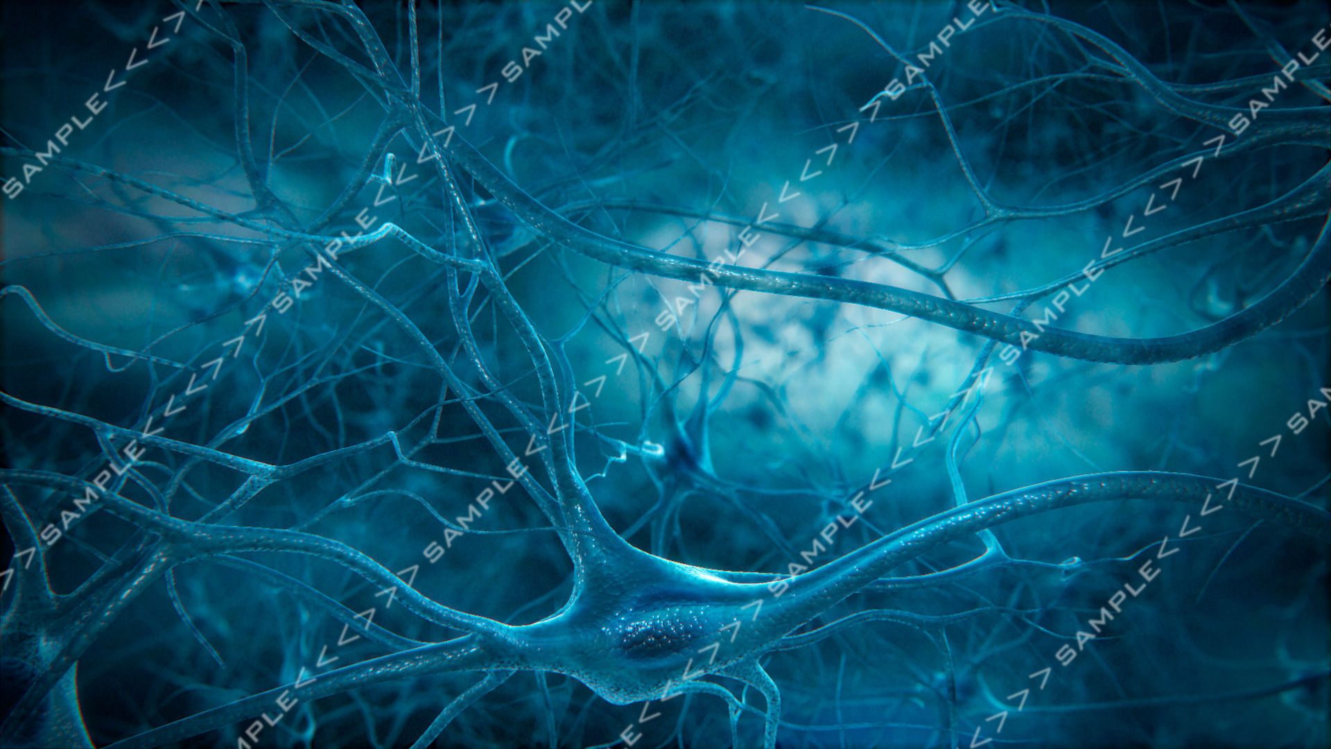 Neurons-fly-through neuron light 3D model_5