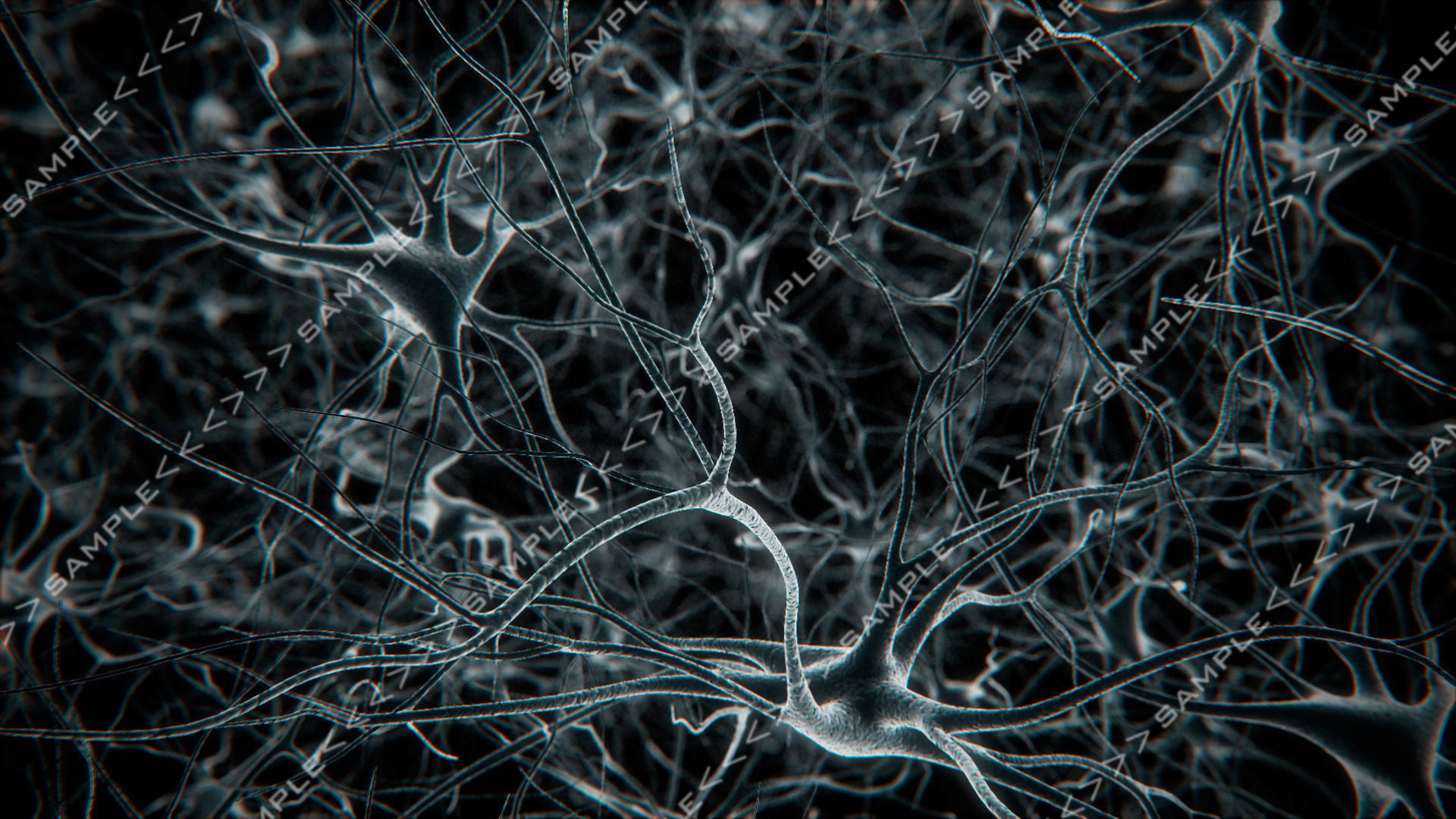 Neurons-fly-through neuron light 3D model_6