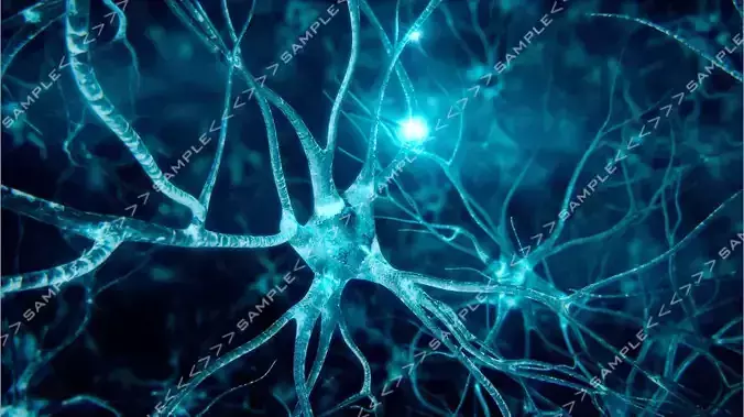 Neurons-fly-through neuron light 3D model