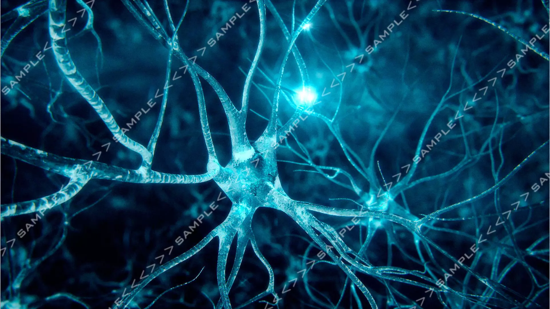 Neurons-fly-through neuron light 3D model_0