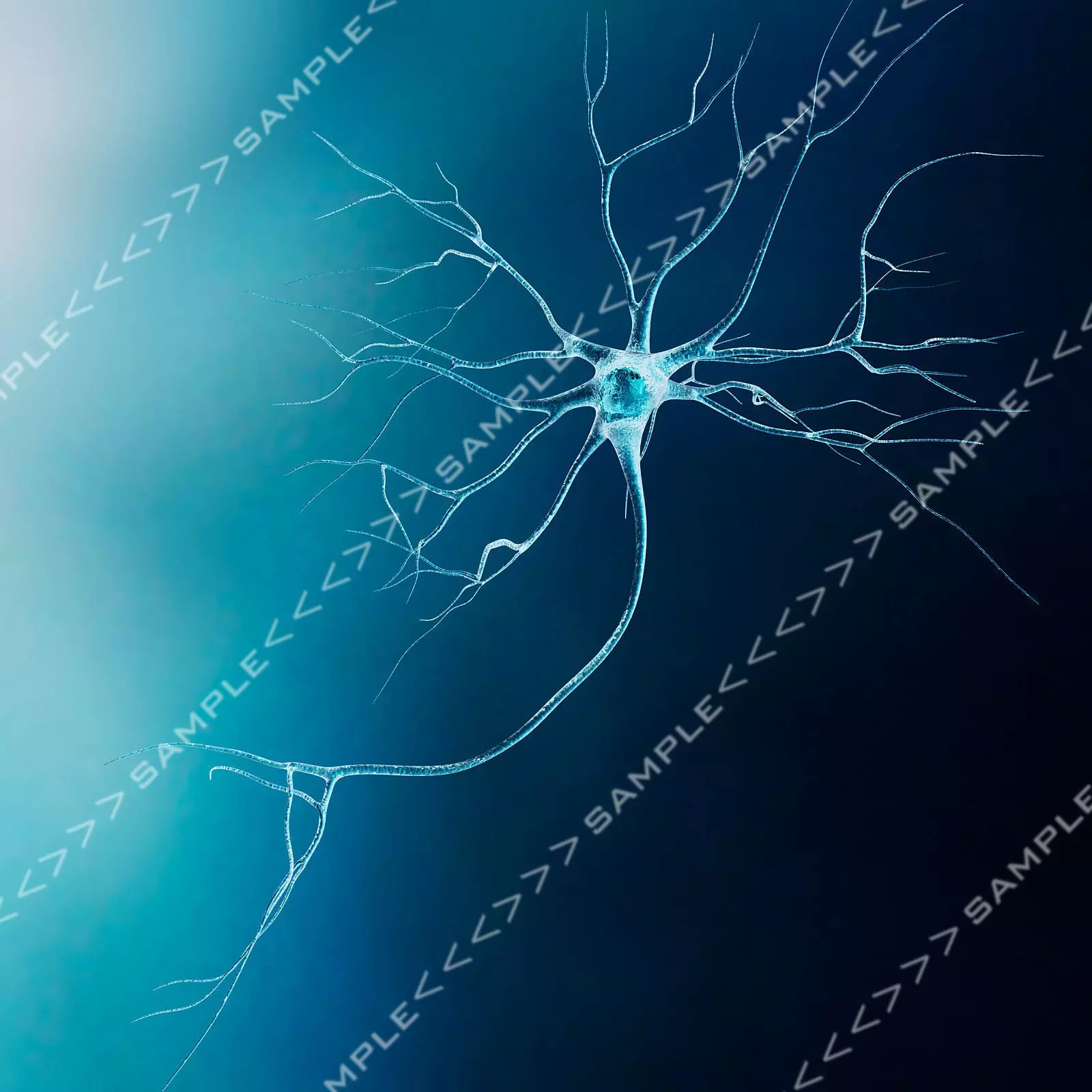 Neuron-Model neuron Low-poly 3D model_0