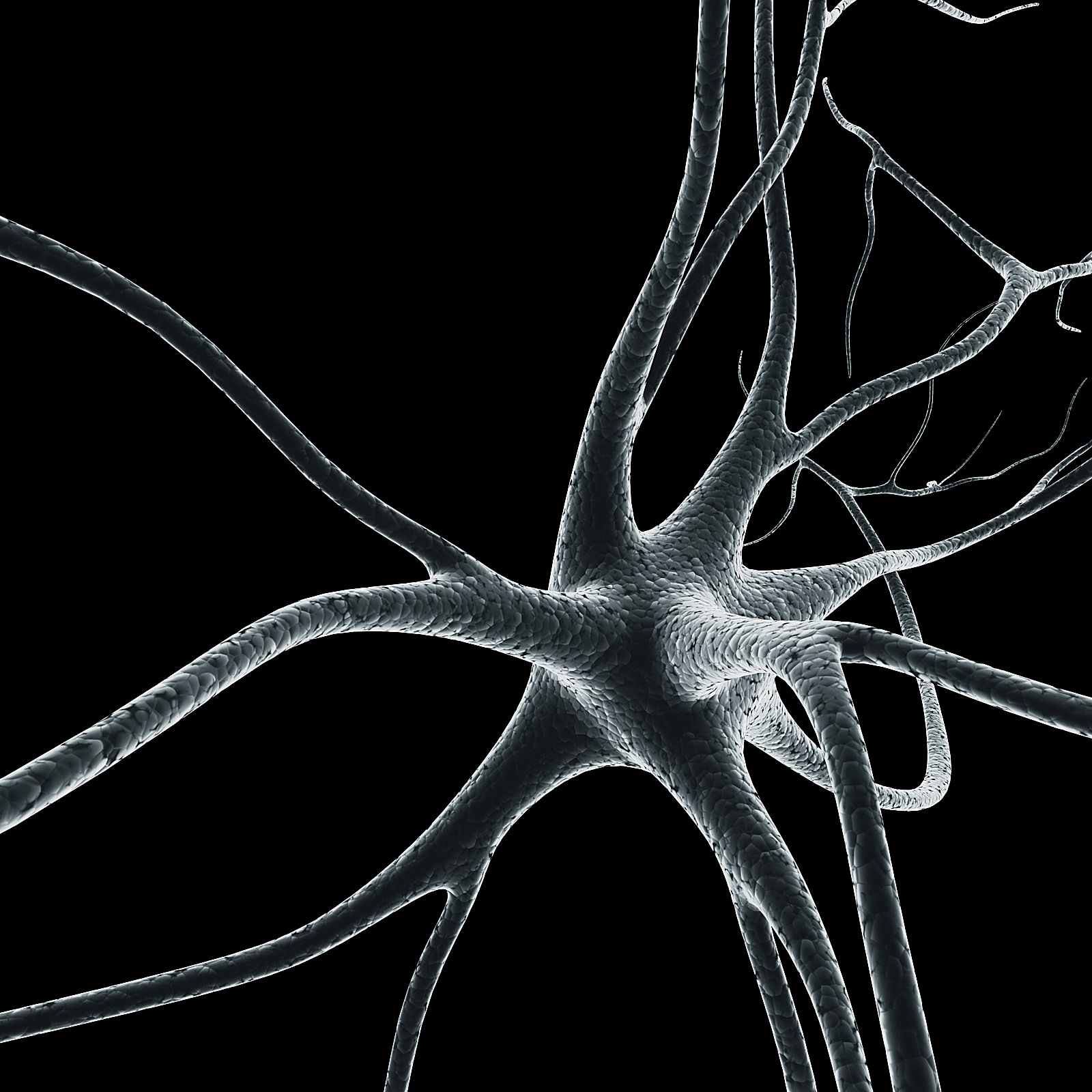 Neuron-Model neuron Low-poly 3D model_2