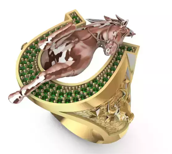 ANILLO HERRADURA CABALLO