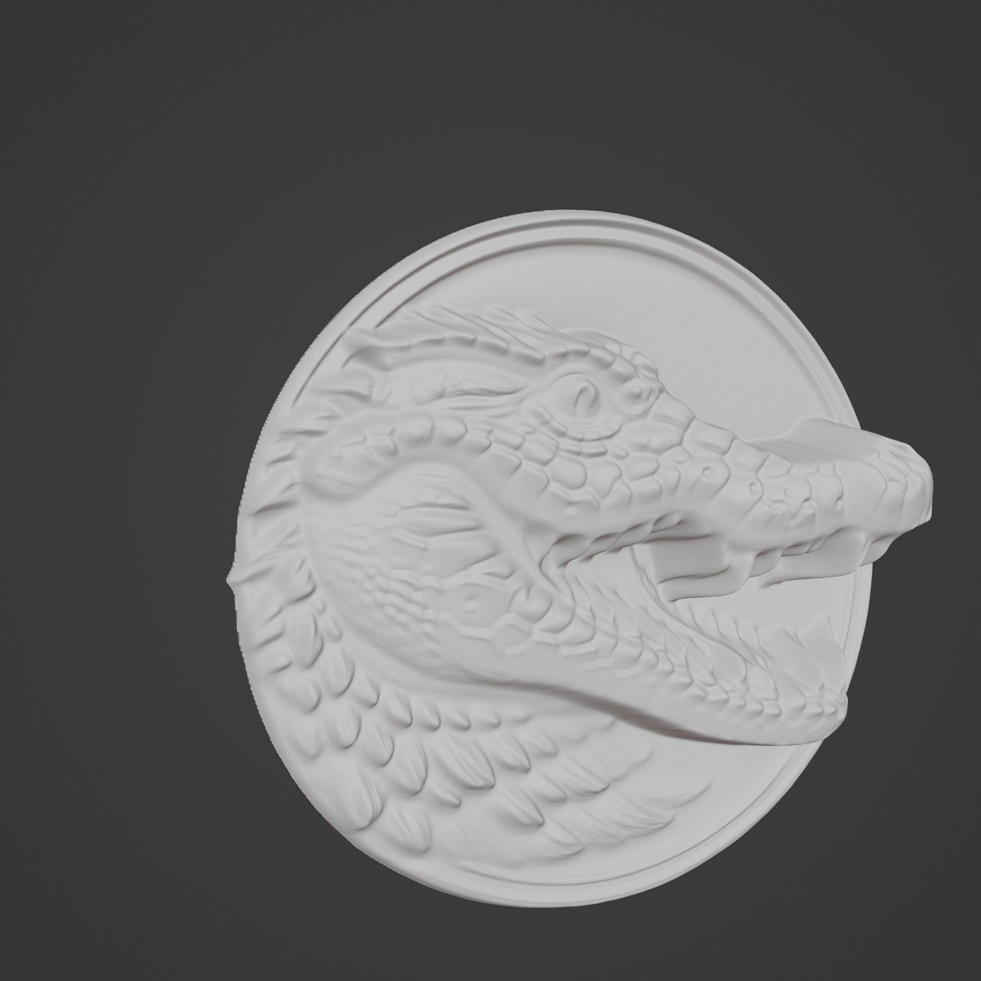 Crocodile Animal Crocodile Animal Medallion  3D print model_3