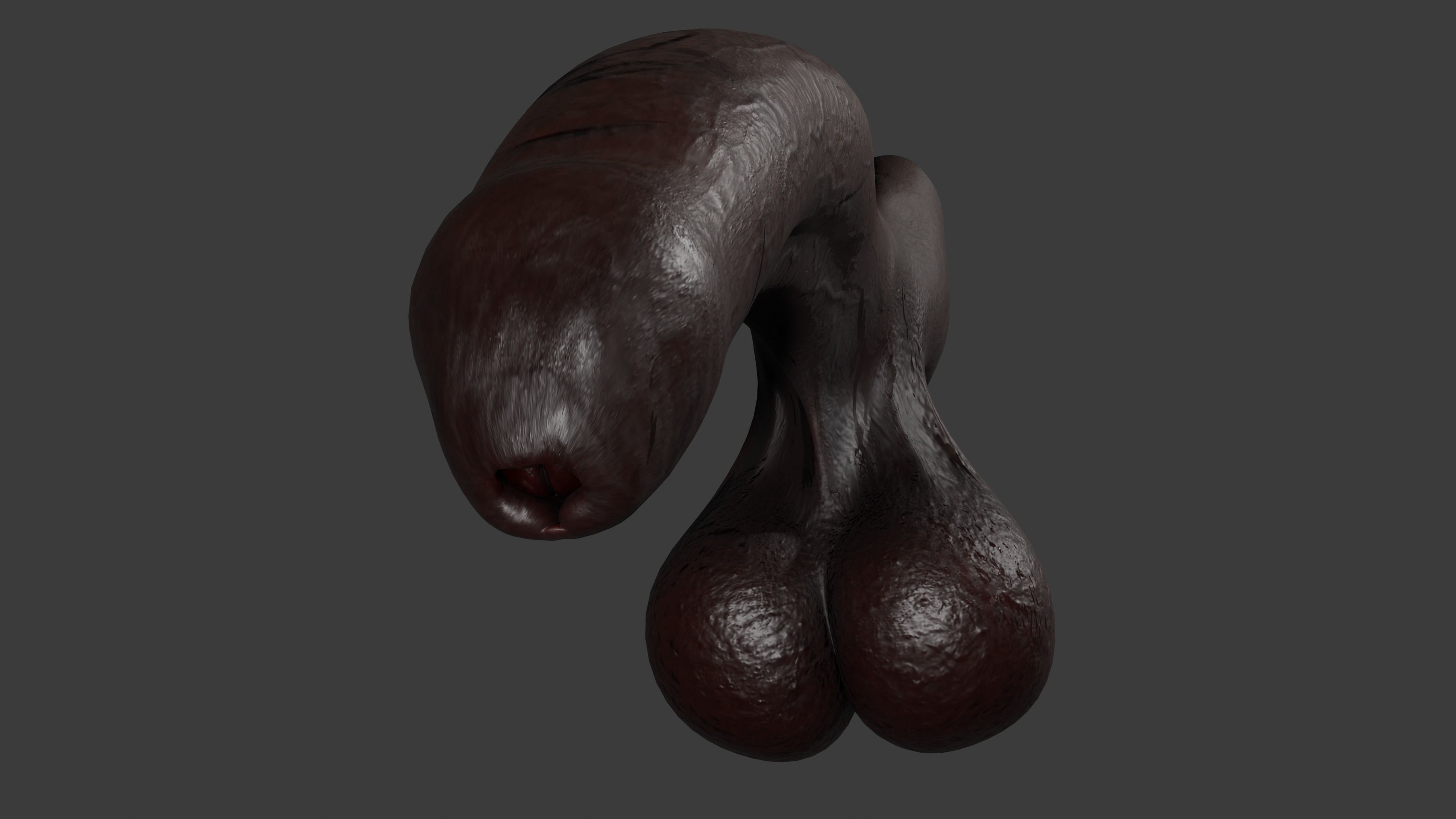 Realistic BBC Penis w Adjustable foreskin Lowpoly Rigged Low-poly 3D model_9