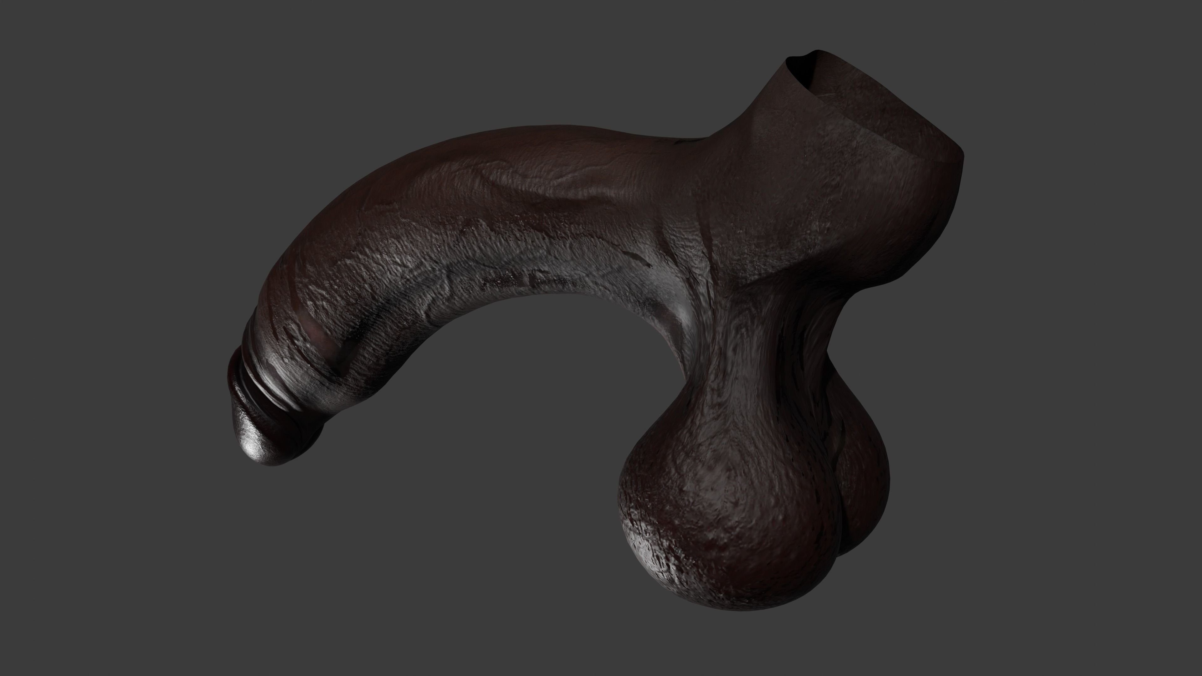 Realistic BBC Penis w Adjustable foreskin Lowpoly Rigged Low-poly 3D model_11