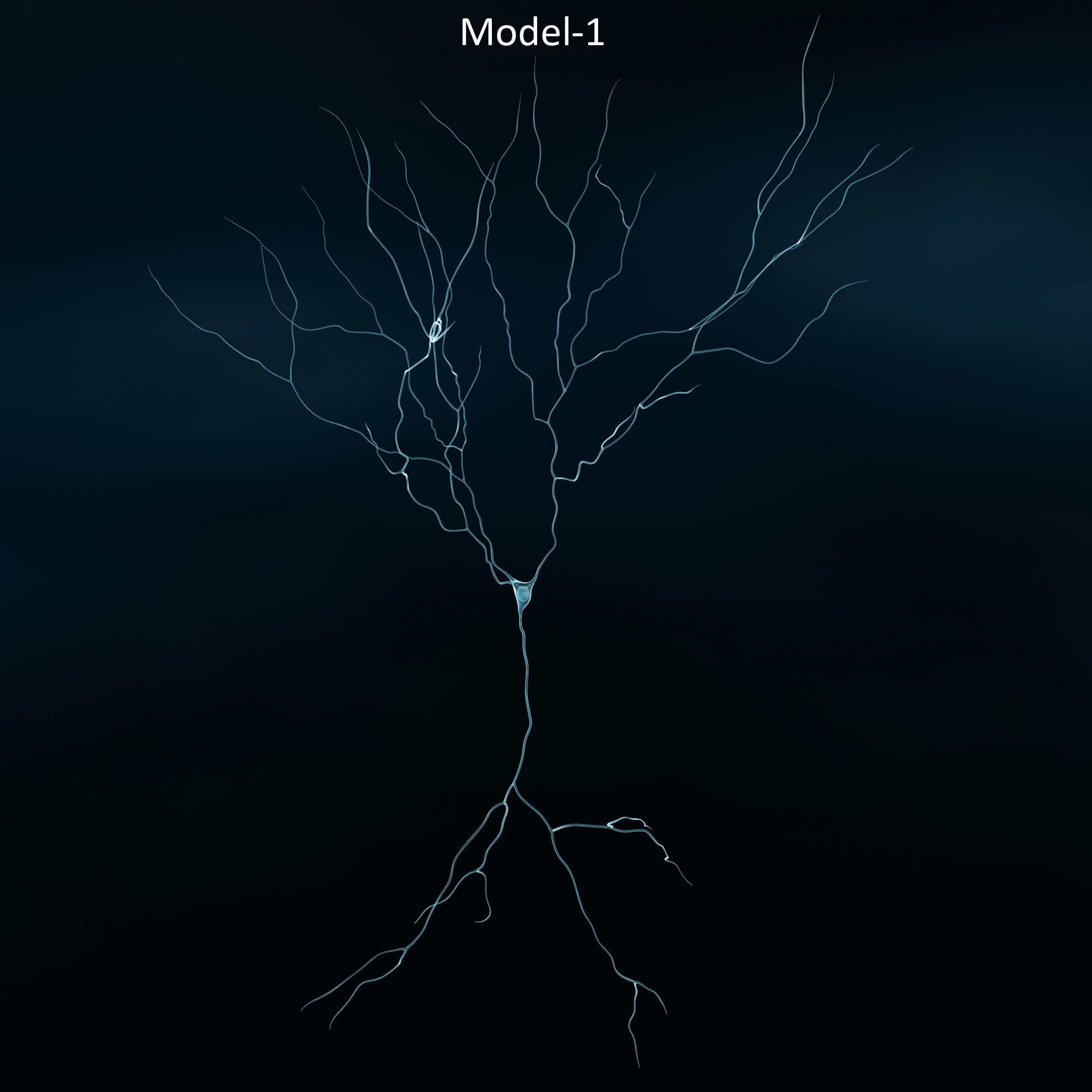 Pyramidal-Neurons set neuron 3D model_3