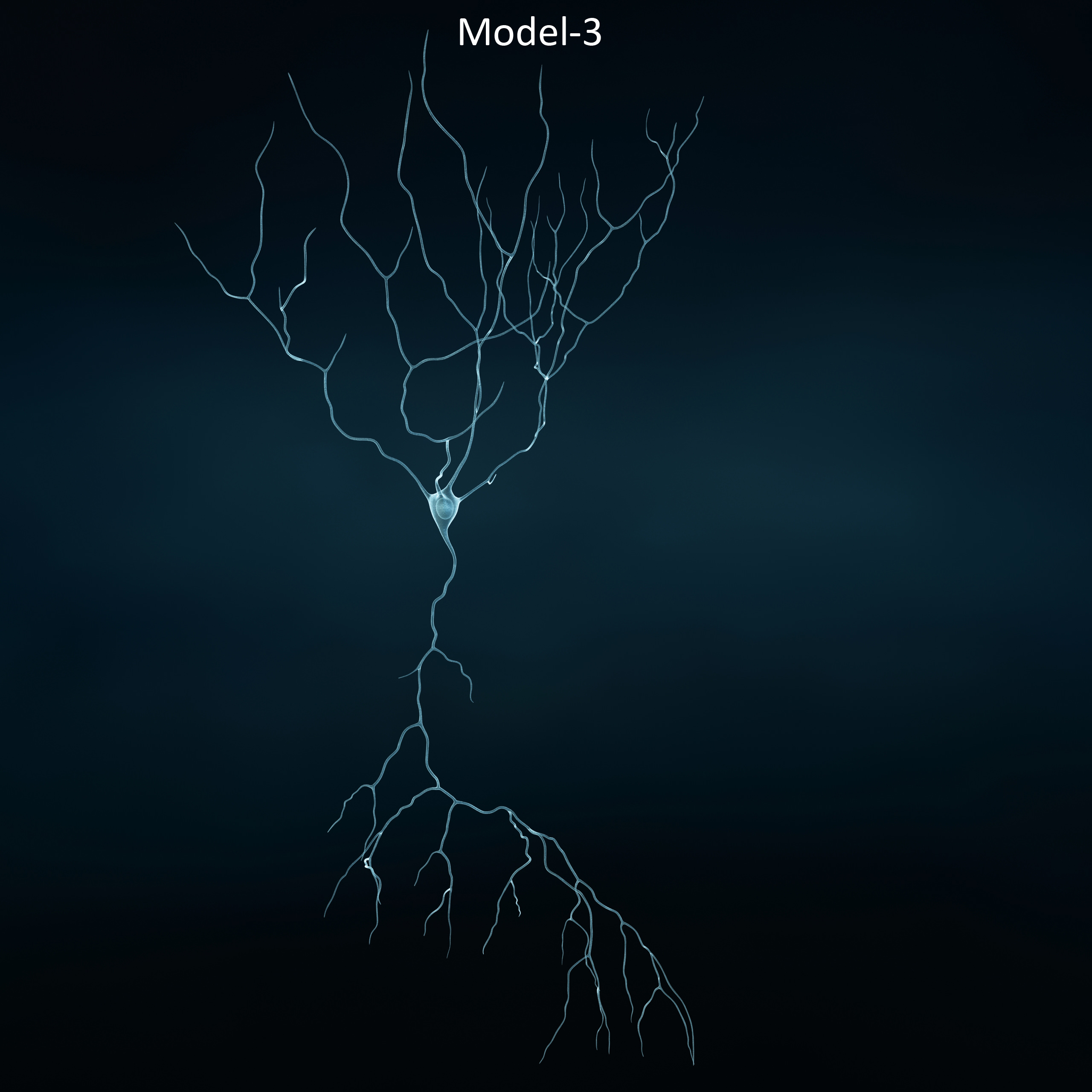 Pyramidal-Neurons set neuron 3D model_4
