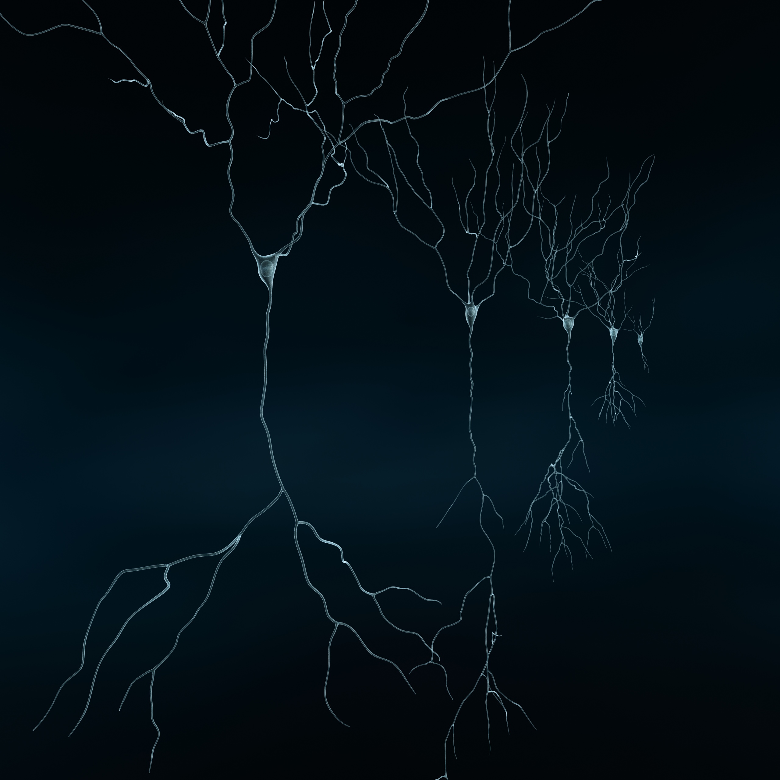 Pyramidal-Neurons set neuron 3D model_9