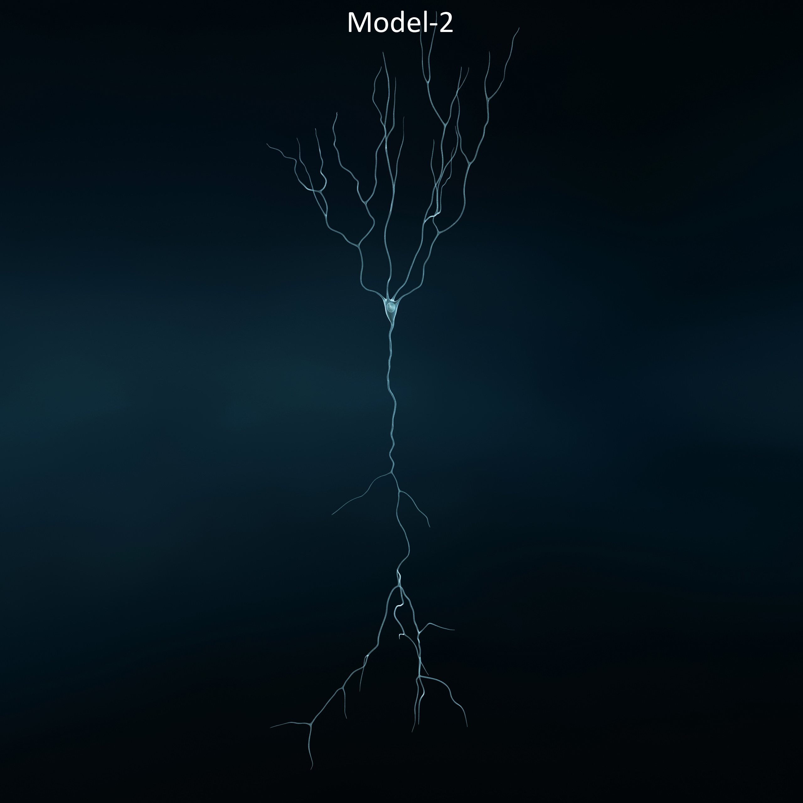 Pyramidal-Neurons set neuron 3D model_2