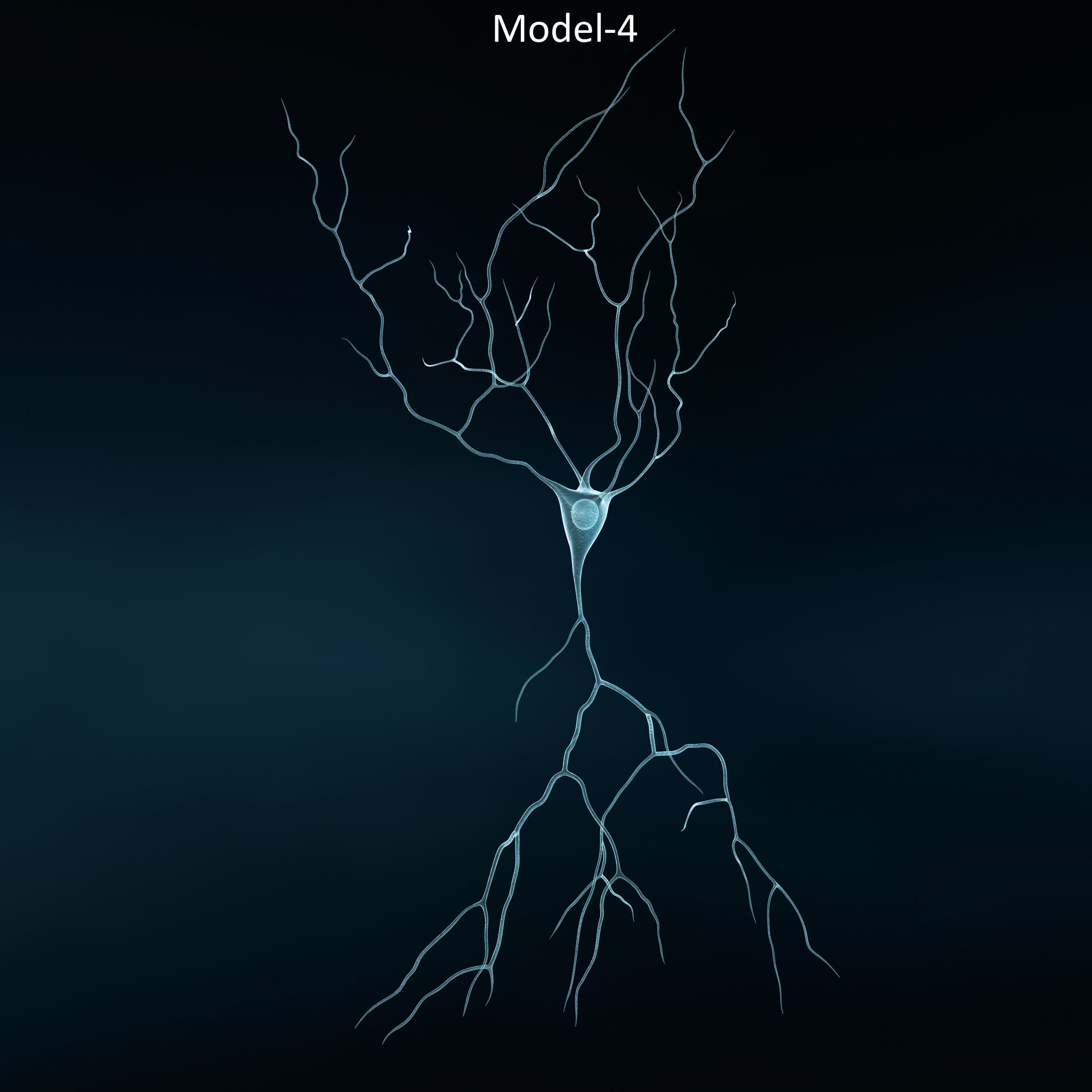 Pyramidal-Neurons set neuron 3D model_5