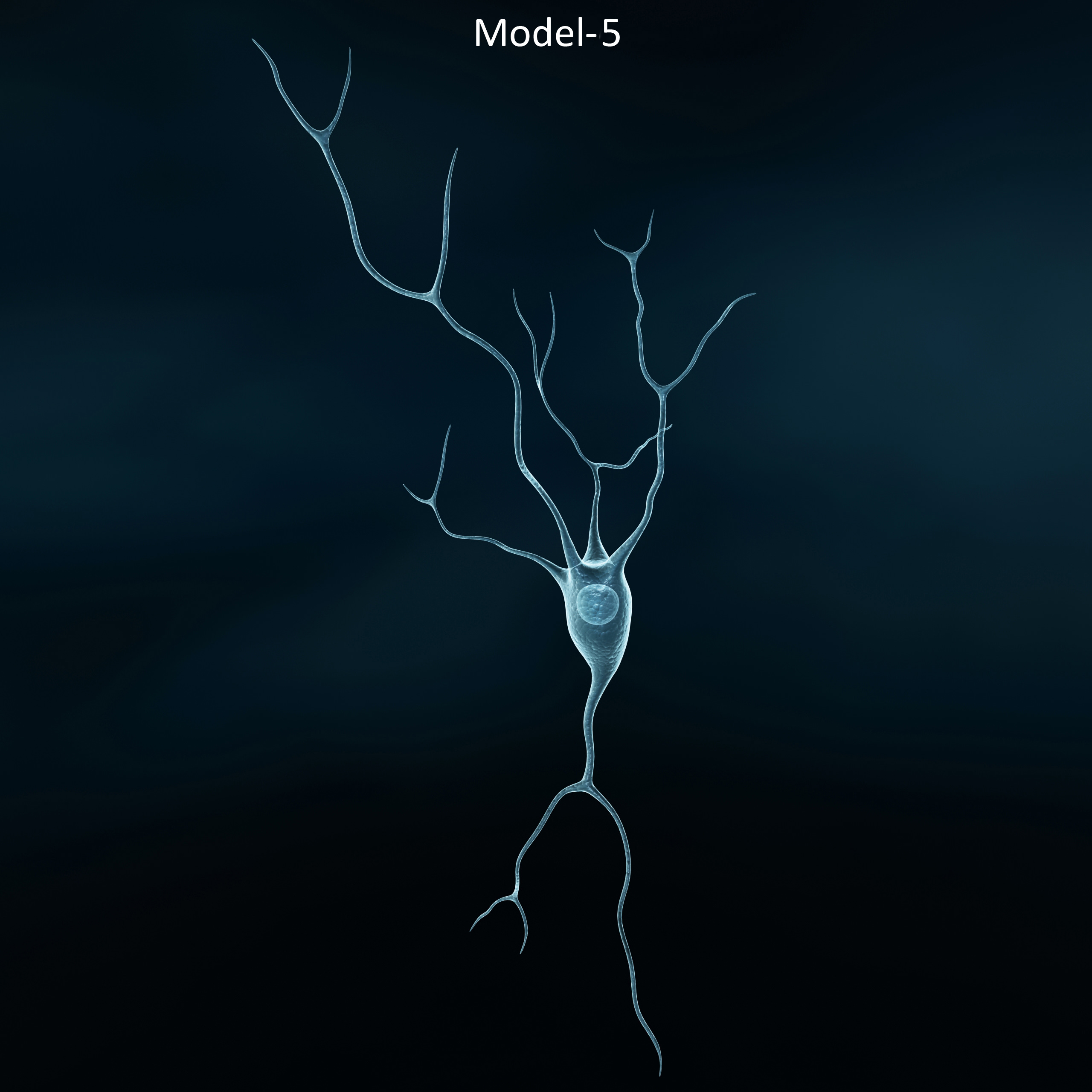 Pyramidal-Neurons set neuron 3D model_6