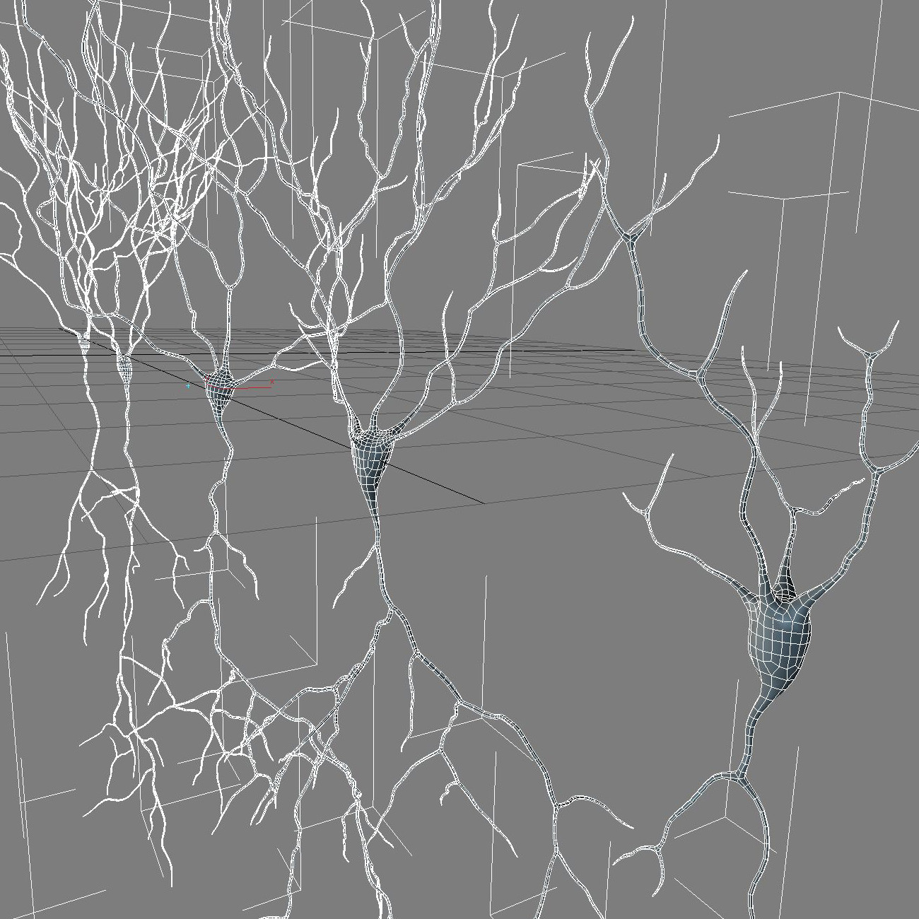 Pyramidal-Neurons set neuron 3D model_10