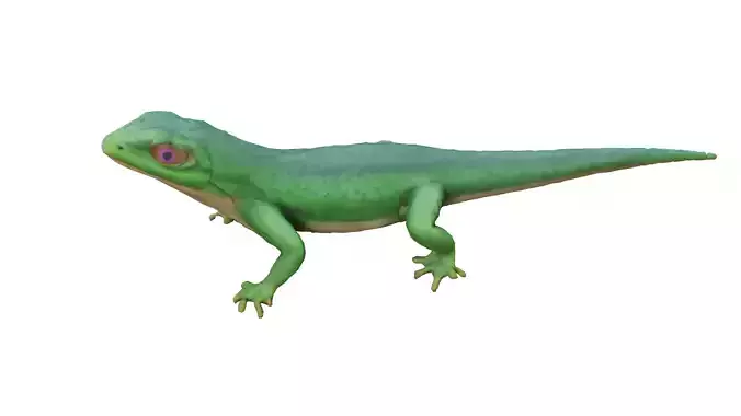 Lizard Low-poly 3D model