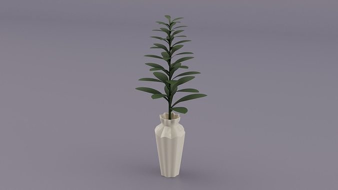 Houseplant in white pot 3D model