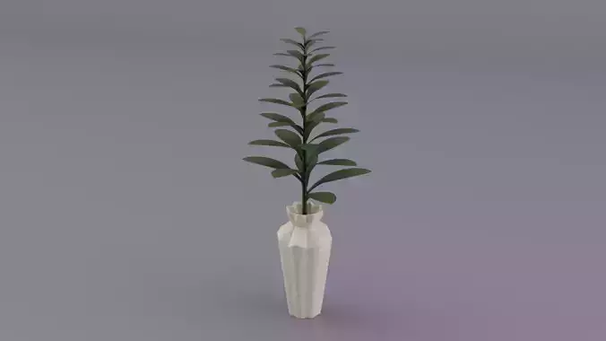 Houseplant in white pot