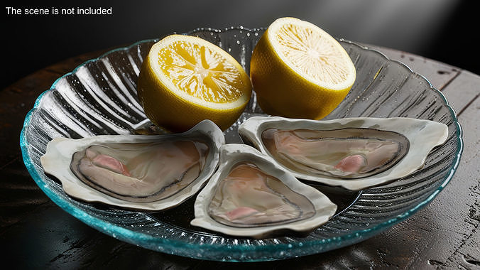Opened Oyster 3D model 2