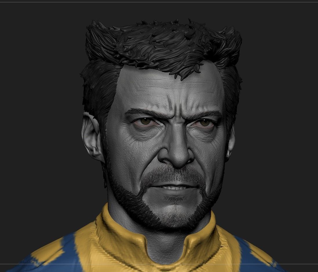 Wolverine -Hugh Jackman Head - Deadpool and Wolverine 3D print model_3