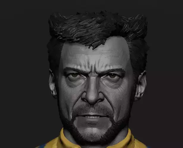 Wolverine -Hugh Jackman Head - Deadpool and Wolverine