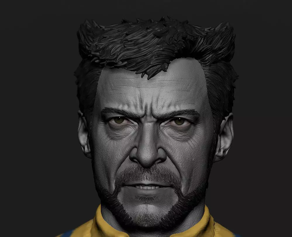 Wolverine -Hugh Jackman Head - Deadpool and Wolverine 3D print model_0