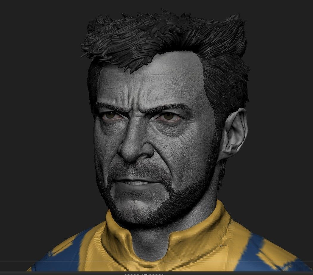 Wolverine -Hugh Jackman Head - Deadpool and Wolverine 3D print model_1