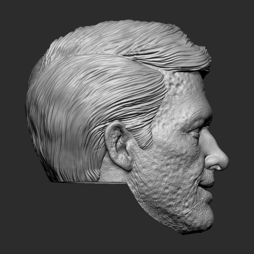 Deadpool wig - Deadpool and Wolverine head 3D print model_2