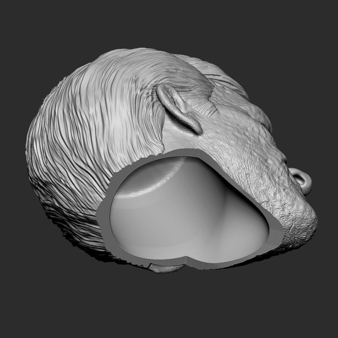 Deadpool wig - Deadpool and Wolverine head 3D print model_7