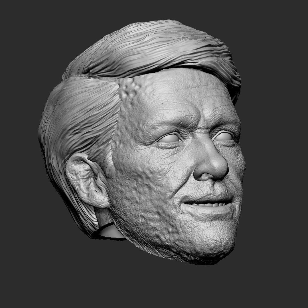 Deadpool wig - Deadpool and Wolverine head 3D print model_5