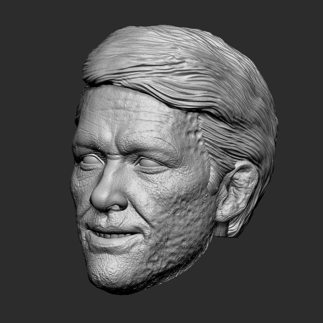 Deadpool wig - Deadpool and Wolverine head 3D print model_3