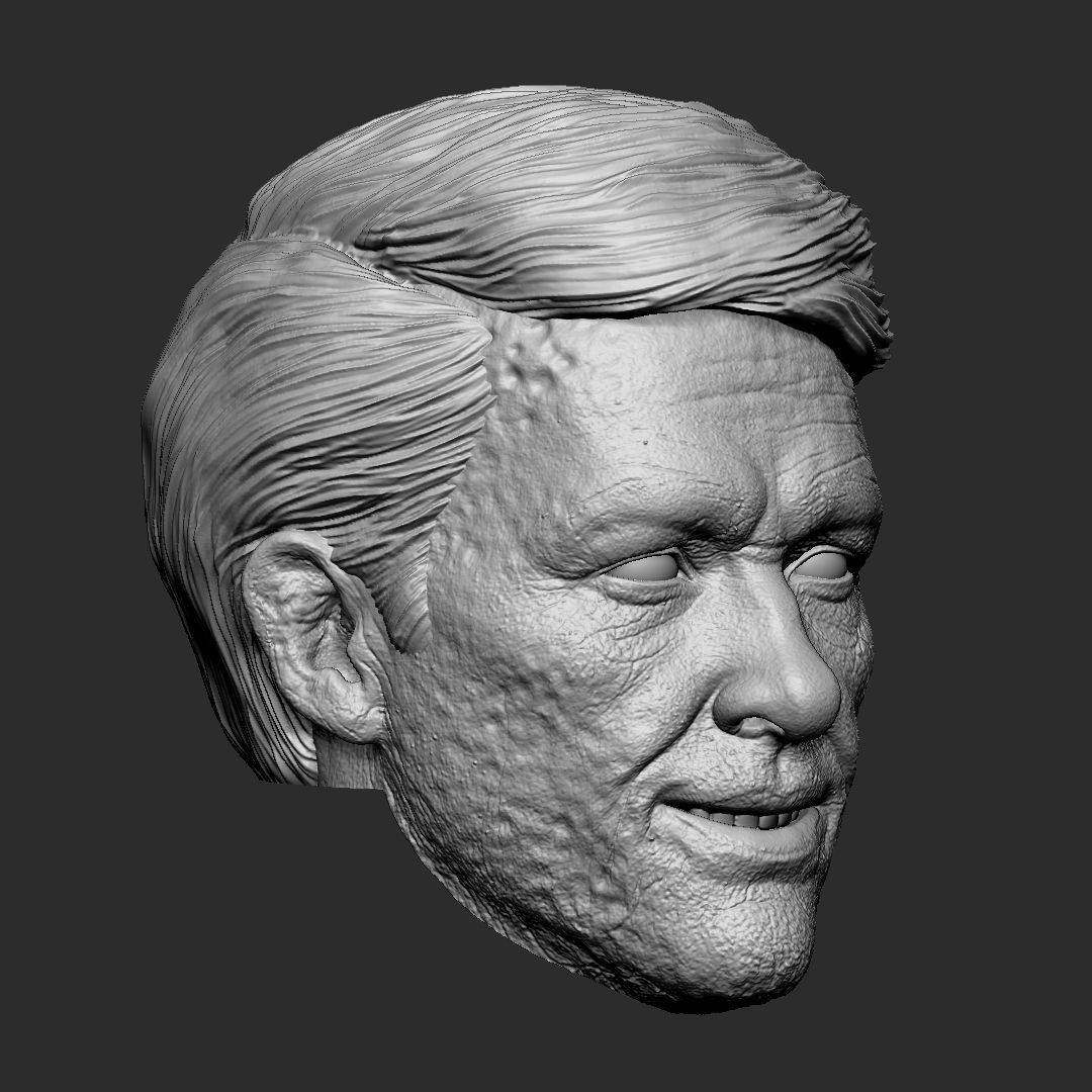 Deadpool wig - Deadpool and Wolverine head 3D print model_1