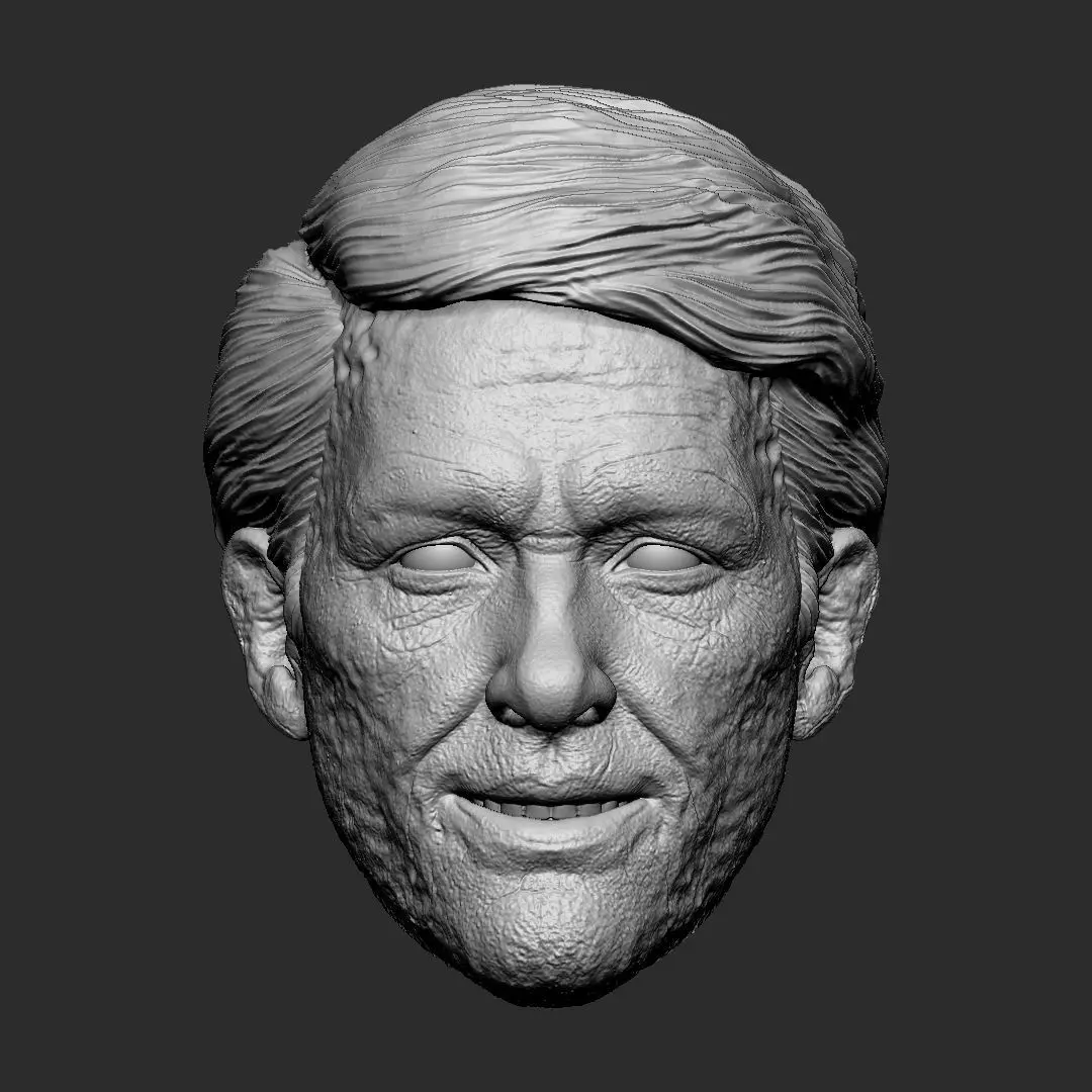 Deadpool wig - Deadpool and Wolverine head 3D print model_0