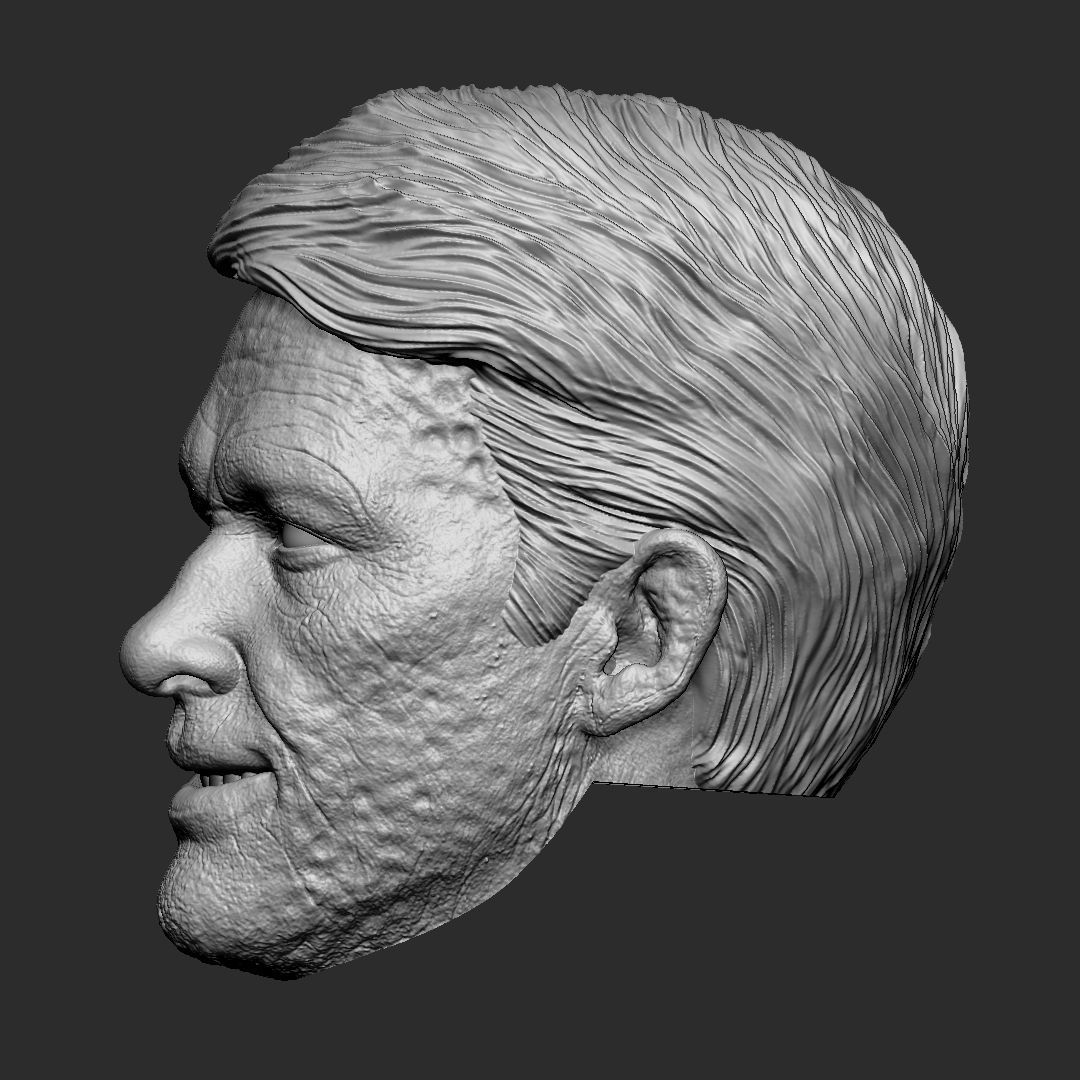 Deadpool wig - Deadpool and Wolverine head 3D print model_4