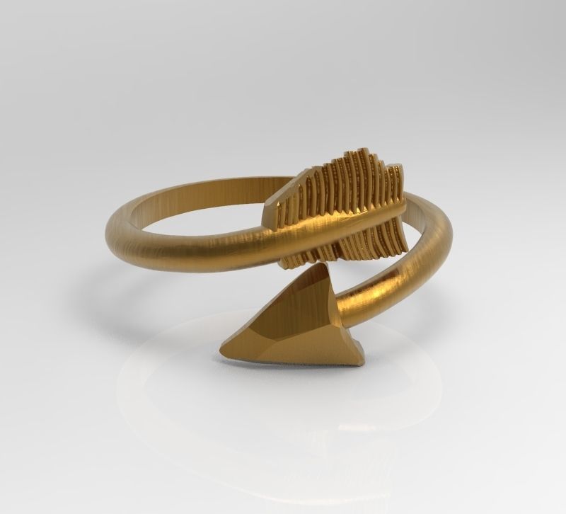karma ring 3D print model_2