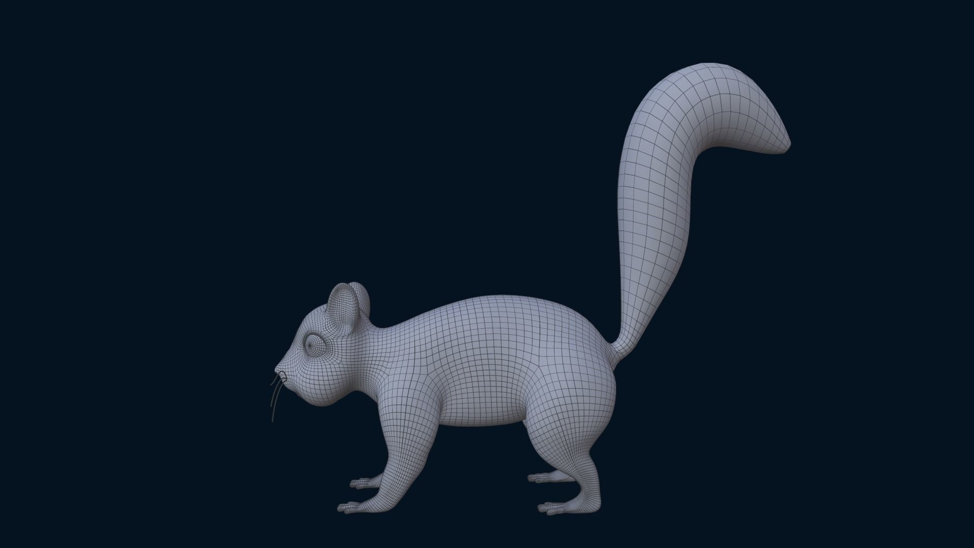 Asset - Cartoons - Animal - Squirel Rigged 3D model 3D model_13