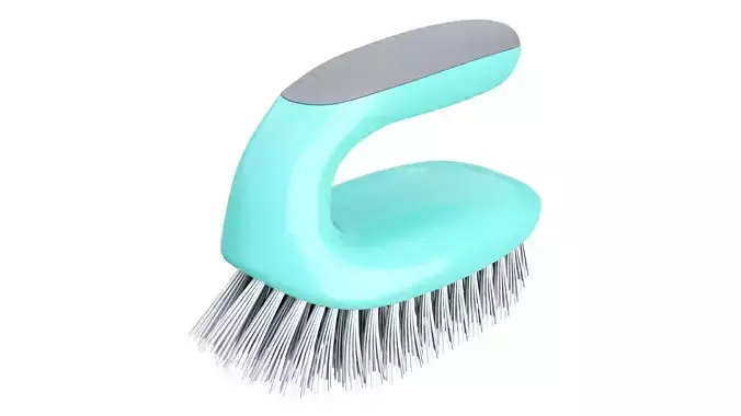 Domestic cleaning brush