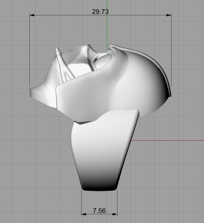 Ring Dark Vader 3D print model_3