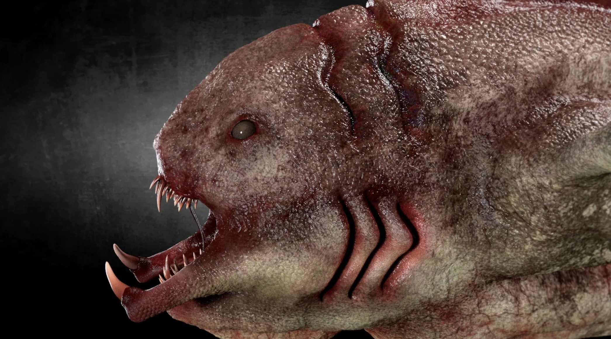 Giant Monster Fish Low-poly 3D model_3