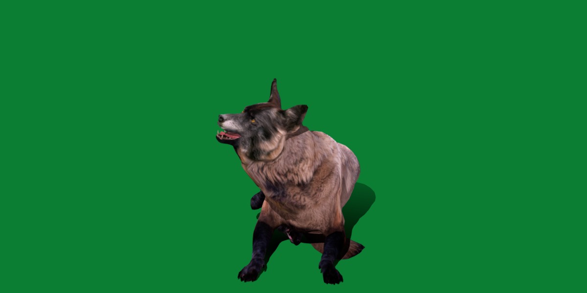 Alexander Archipelago Wolf Low-poly 3D model_24