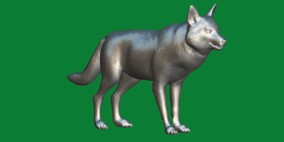 Alexander Archipelago Wolf Low-poly 3D model_11
