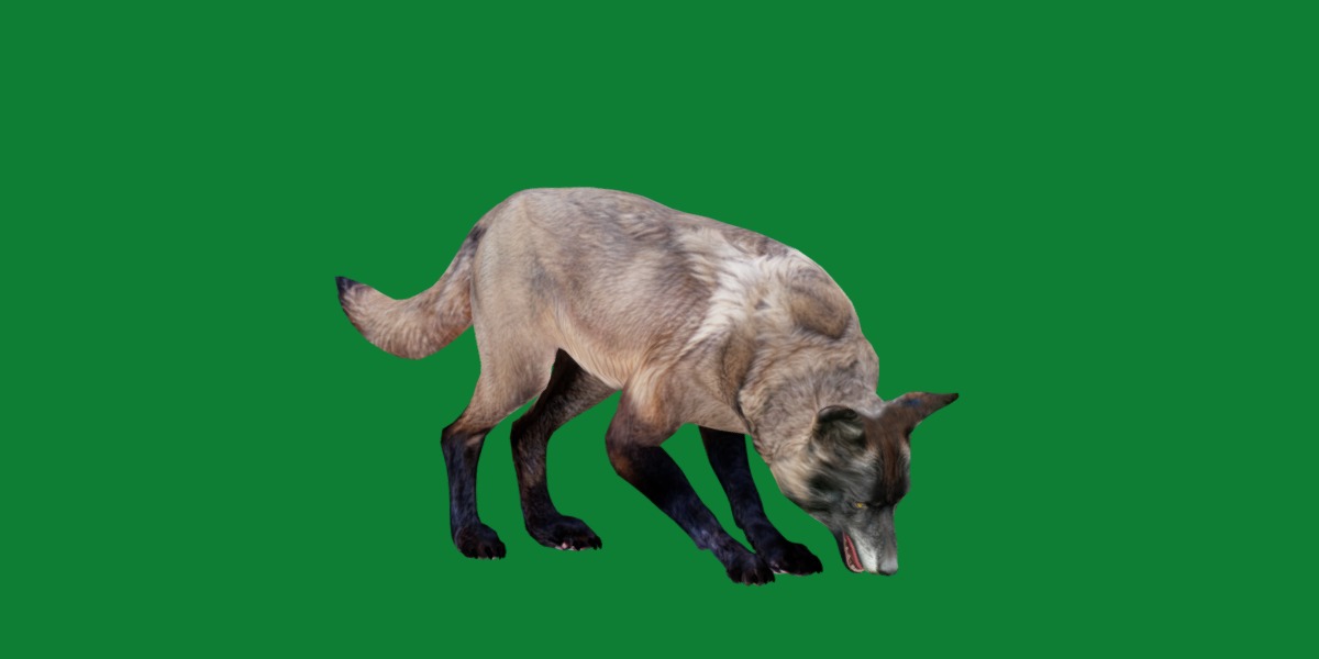 Alexander Archipelago Wolf Low-poly 3D model_4