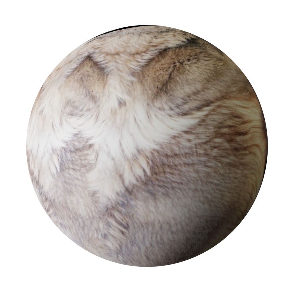 Alexander Archipelago Wolf Low-poly 3D model_31