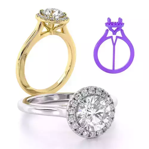 Round Cut Engagement Ring with Halo