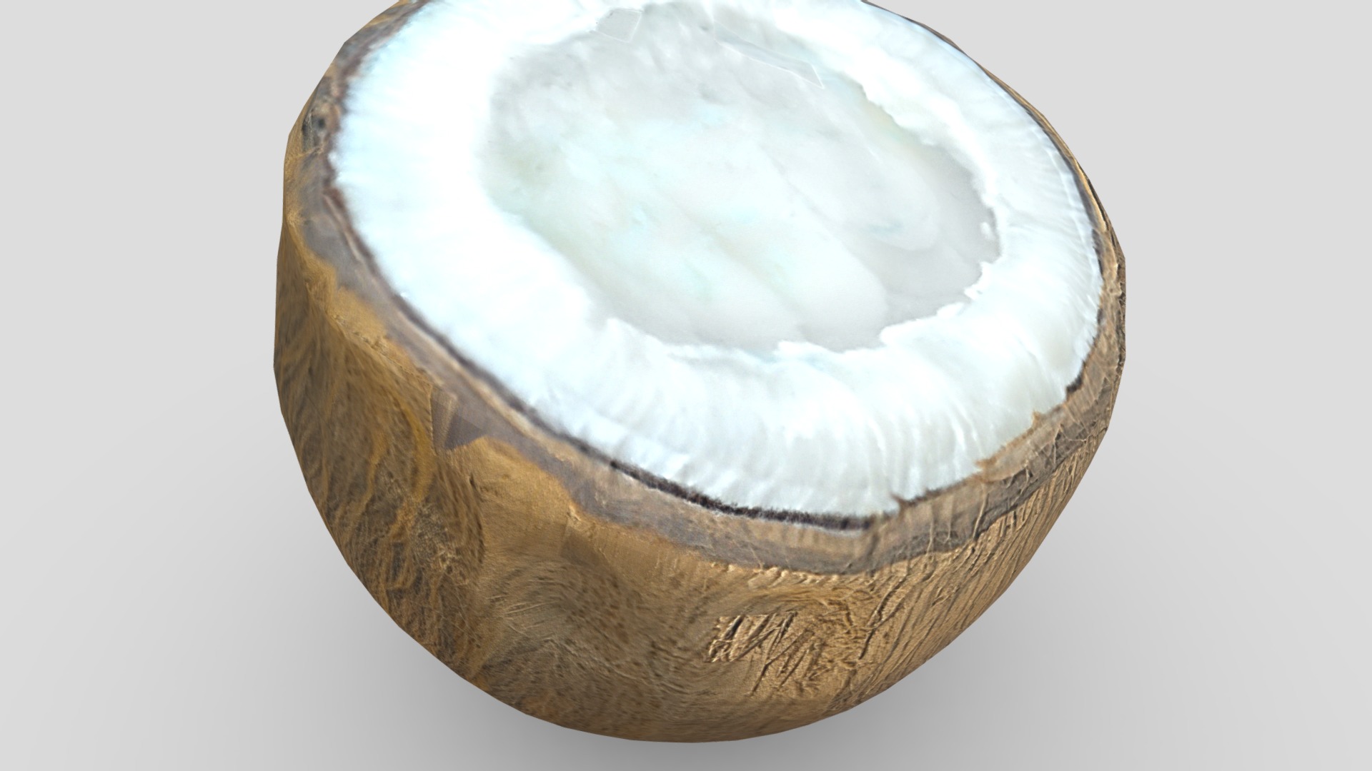 Coconut Piece Filled Low-poly 3D model_9