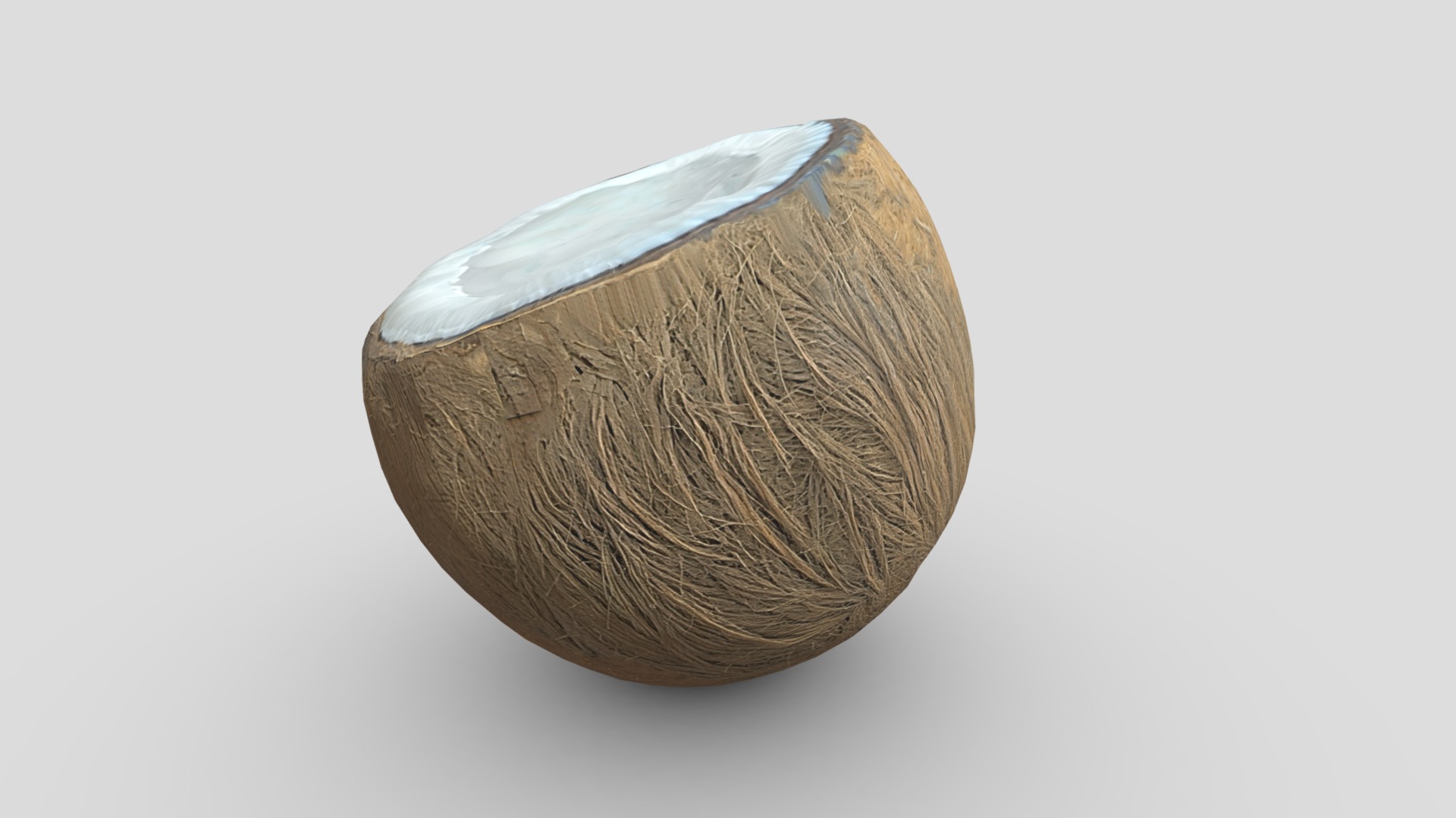 Coconut Piece Filled Low-poly 3D model_5
