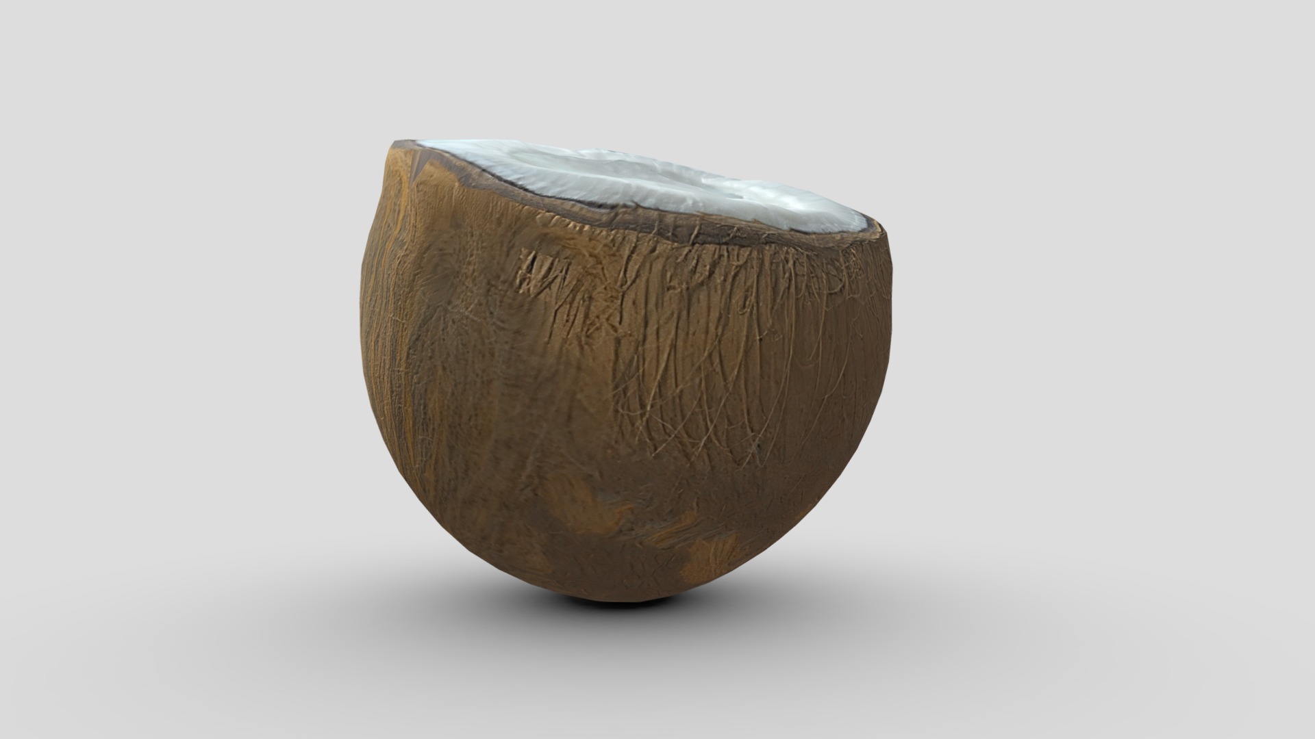 Coconut Piece Filled Low-poly 3D model_3