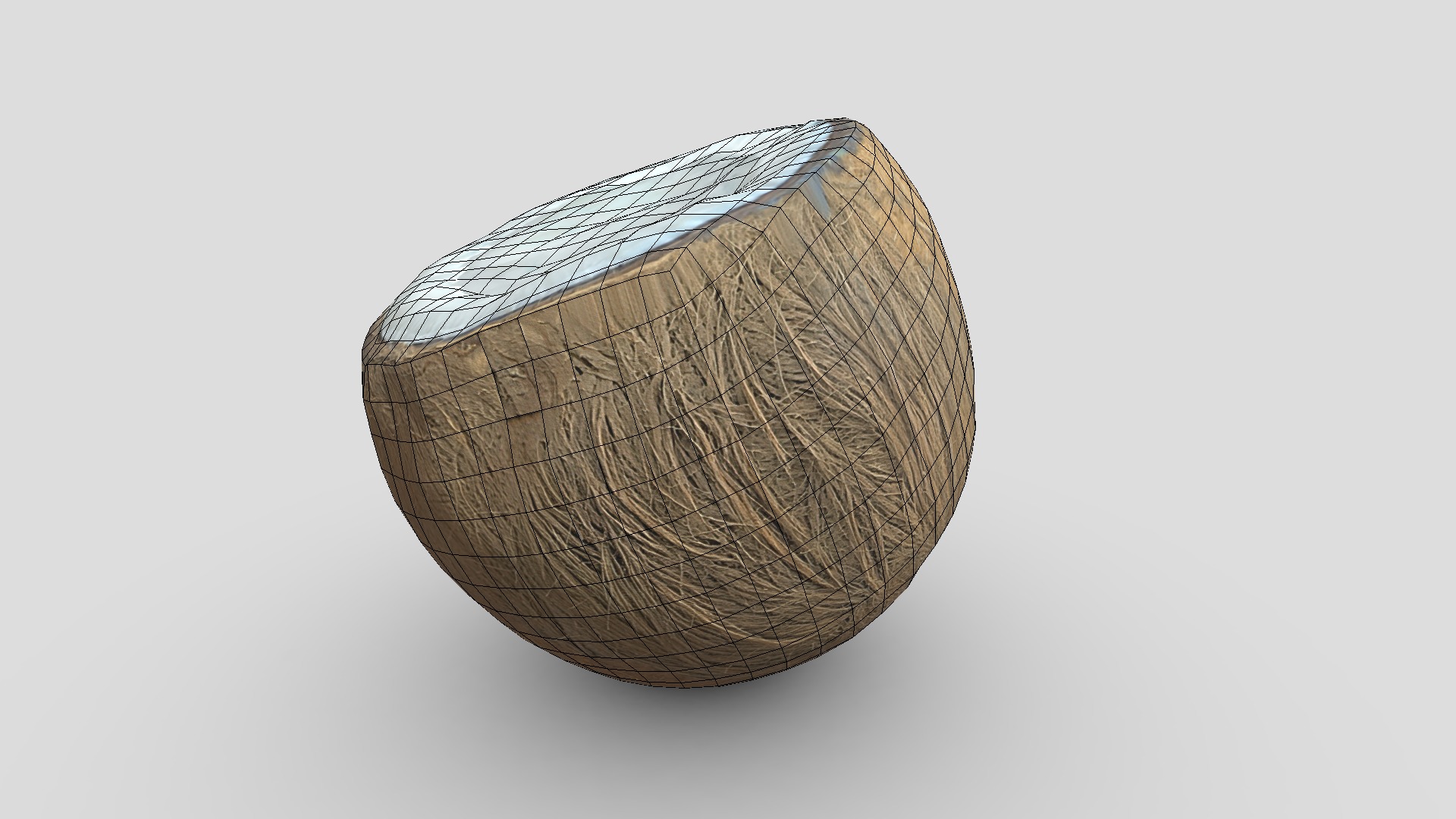 Coconut Piece Filled Low-poly 3D model_6