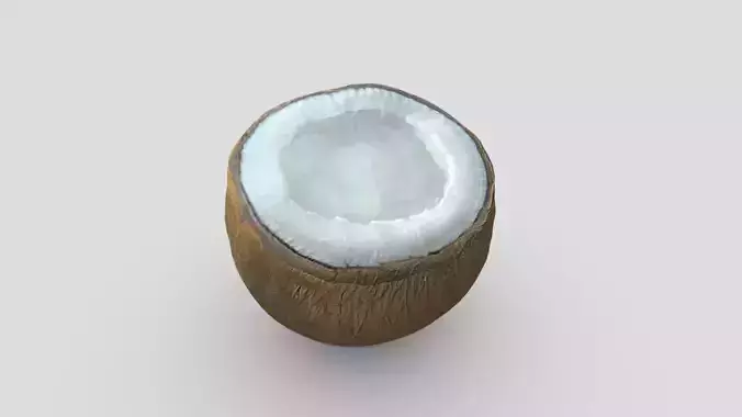 Coconut Piece Filled Low-poly 3D model