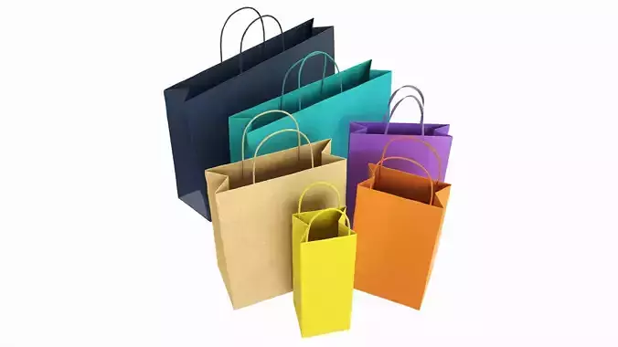 Set of 6 paper bags with handles