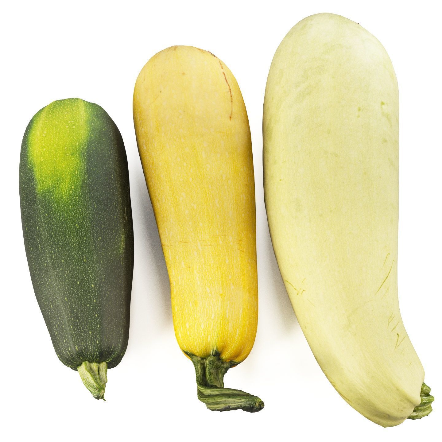 4k vegetable marrow 3D model_8